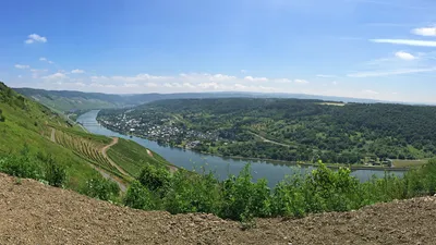 Titel Bild zu Ach du schöne Mosel - 3 Tage Kulinarik an der Mosel