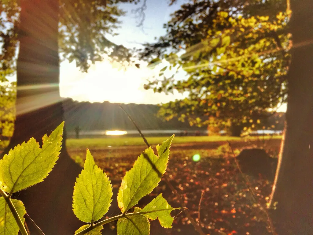 Ein Herbsttag im Kölner Grüngürtel