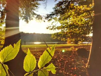 Titel Bild zu Ein Herbsttag im Kölner Grüngürtel