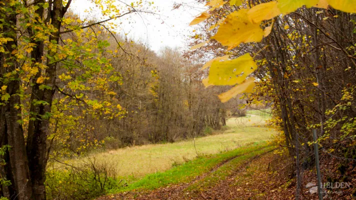 Herbst in der Eifel 2014