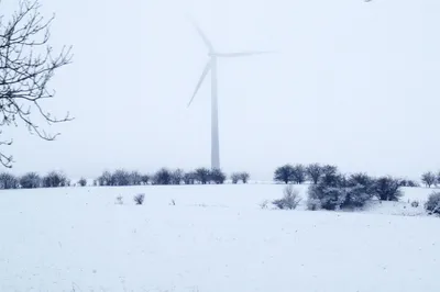 Titel Bild zu Winterwonderland Vulkaneifel