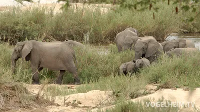 Titel Bild zu Neue Reiseziele kennenlernen - Südafrika